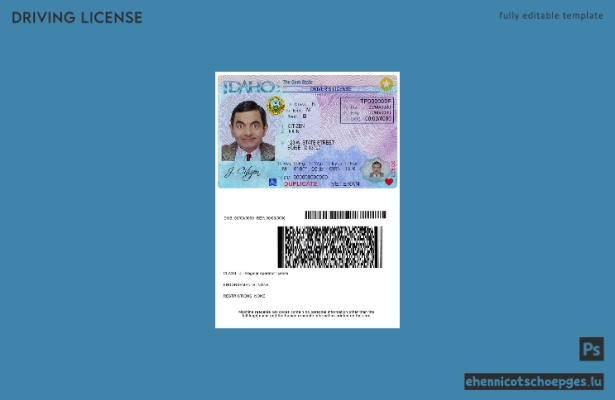 USA Idaho Führerscheinbeispiel